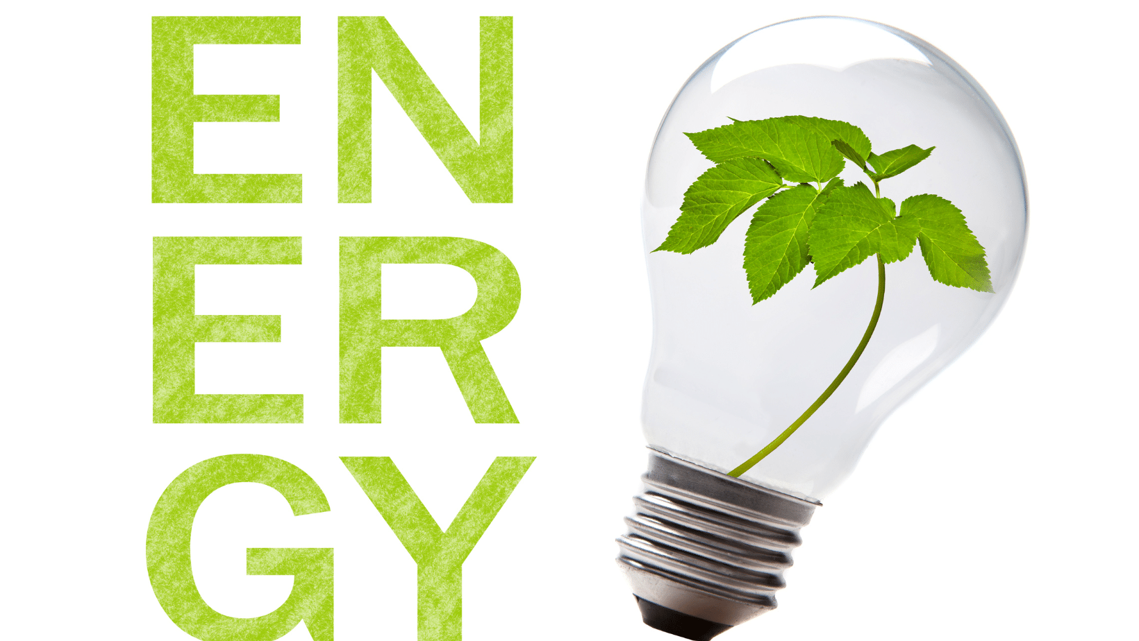 What Is Green vs. Sustainable Energy?